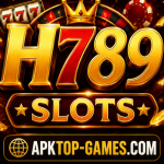 H789 Game