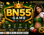 bn55 Game